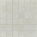 OASIS MOSAIC