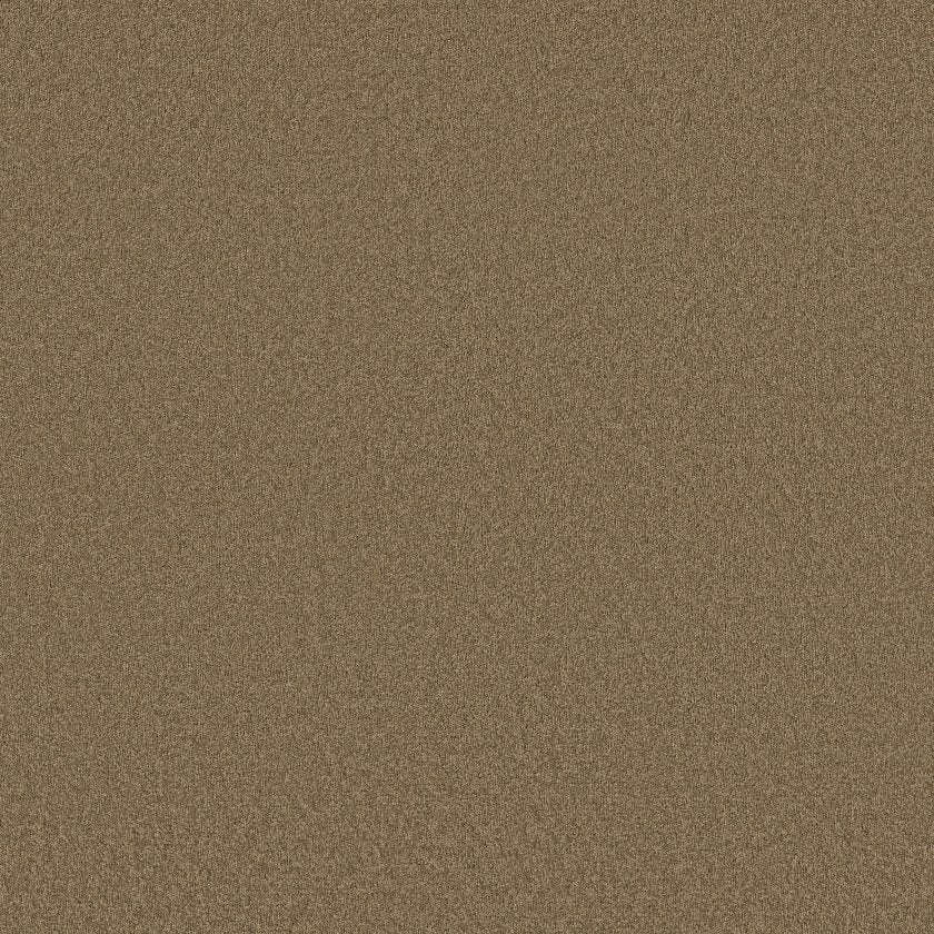 SANDY HOLLOW CLASSIC I 12'