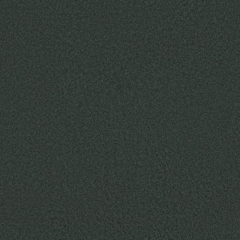 SANDY HOLLOW CLASSIC I 12'