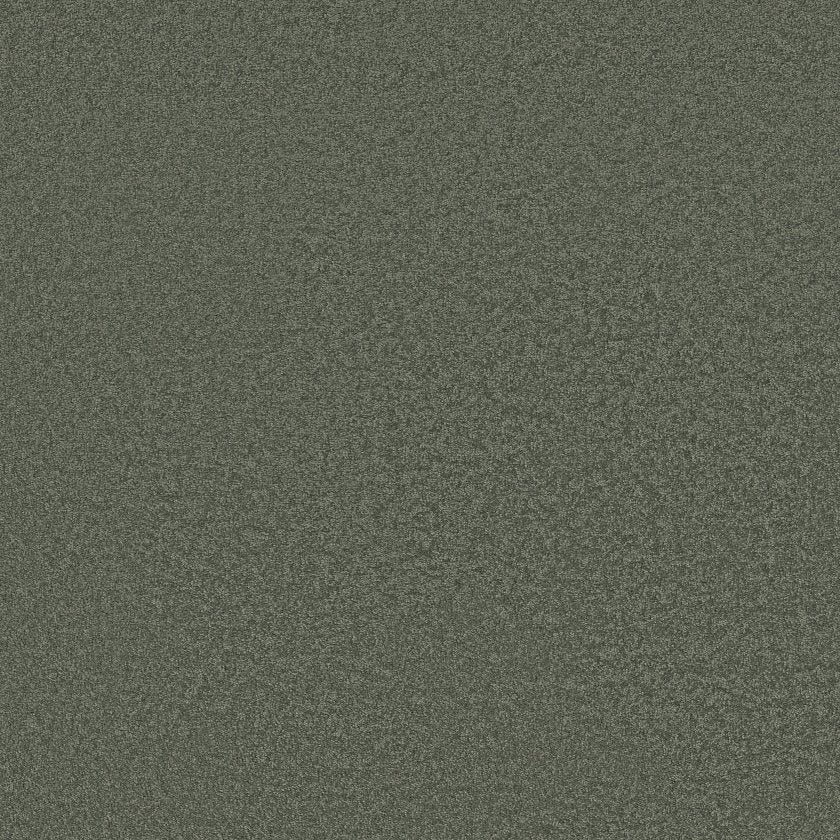 SANDY HOLLOW CLASSIC I 12'