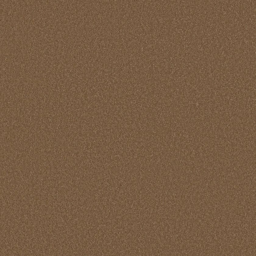 SANDY HOLLOW CLASSIC I 12'