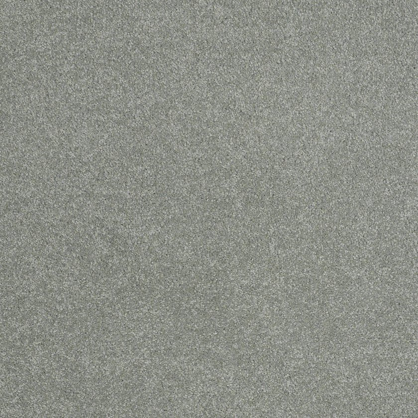 SANDY HOLLOW CLASSIC III 12'