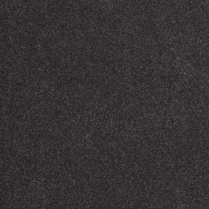 SANDY HOLLOW CLASSIC III 12'