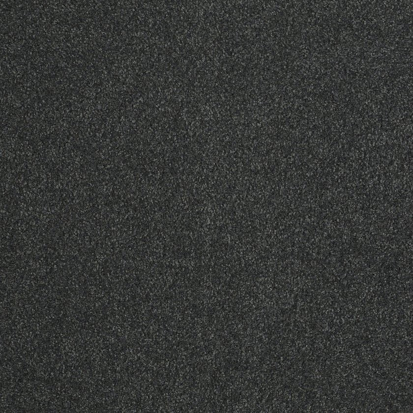 SANDY HOLLOW CLASSIC III 12'