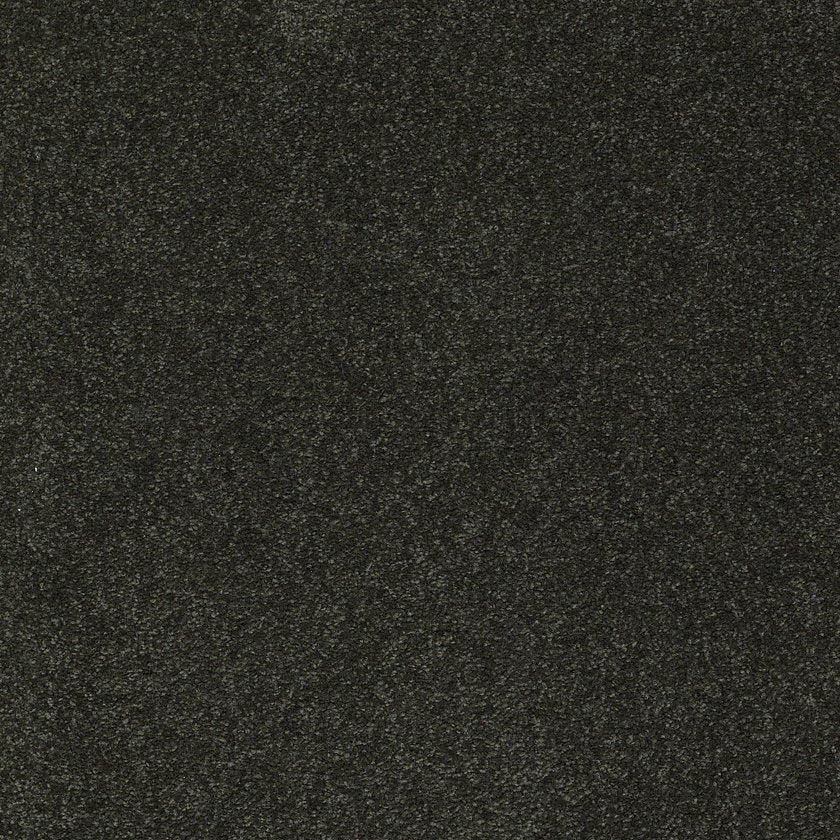 SANDY HOLLOW CLASSIC III 15'