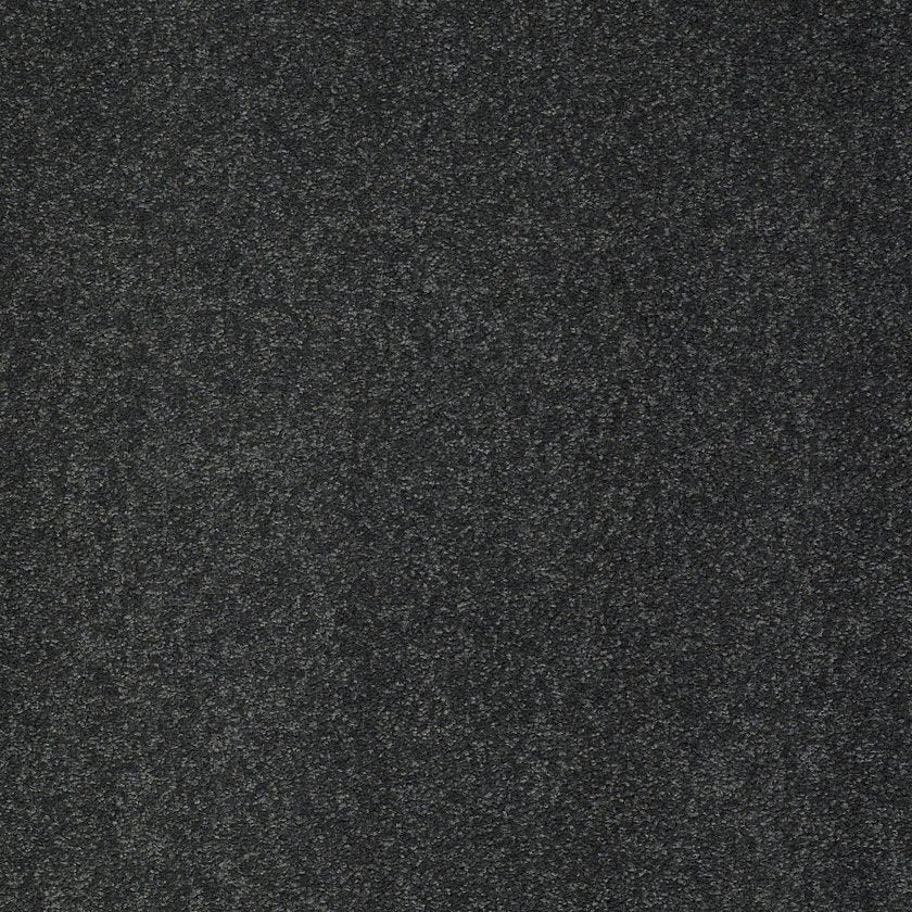 SANDY HOLLOW CLASSIC III 15'