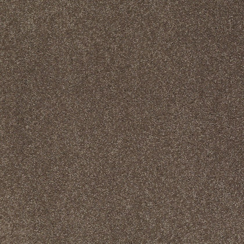 SANDY HOLLOW CLASSIC III 15'