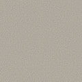 JUST A HINT II