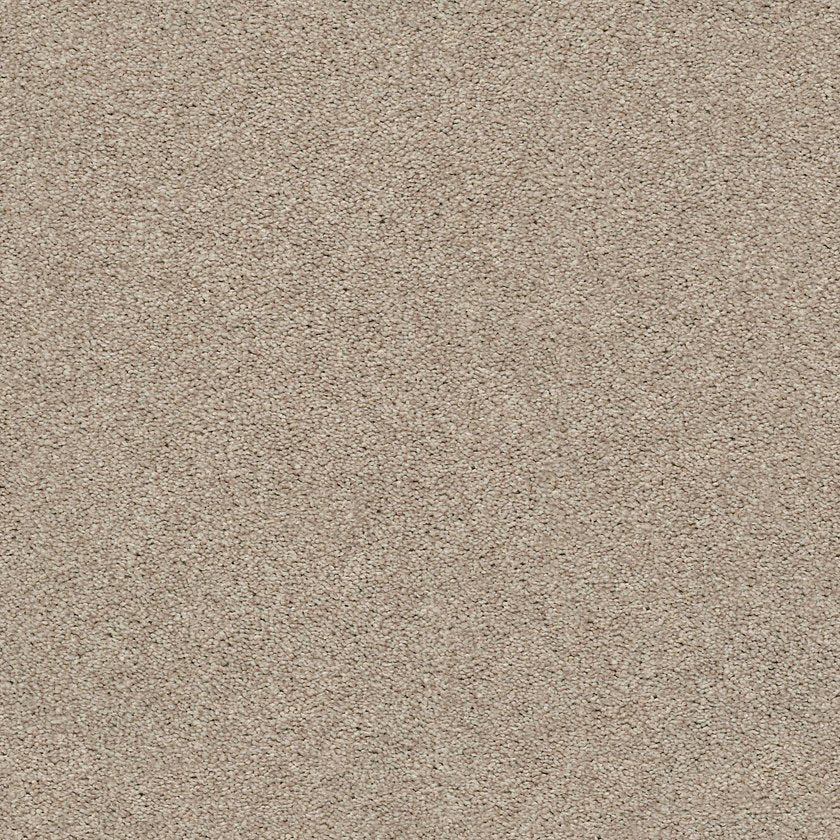 MOMENTUM I
