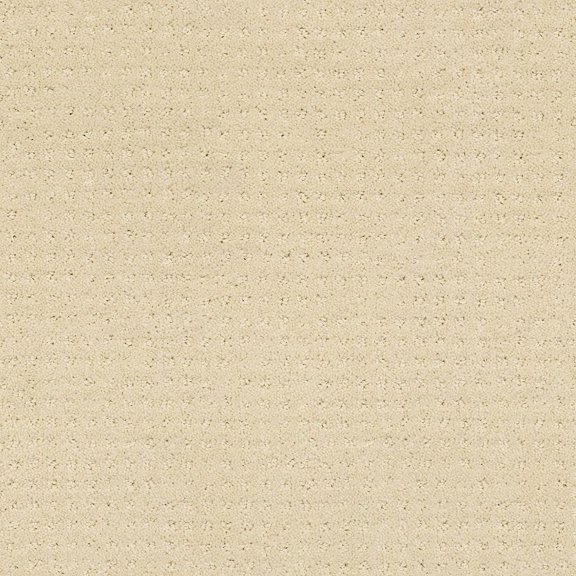 LOYAL BEAUTY PATTERN