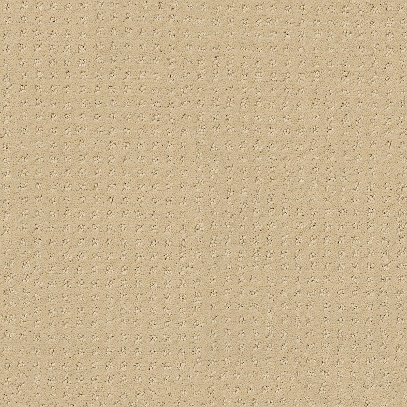 LOYAL BEAUTY PATTERN