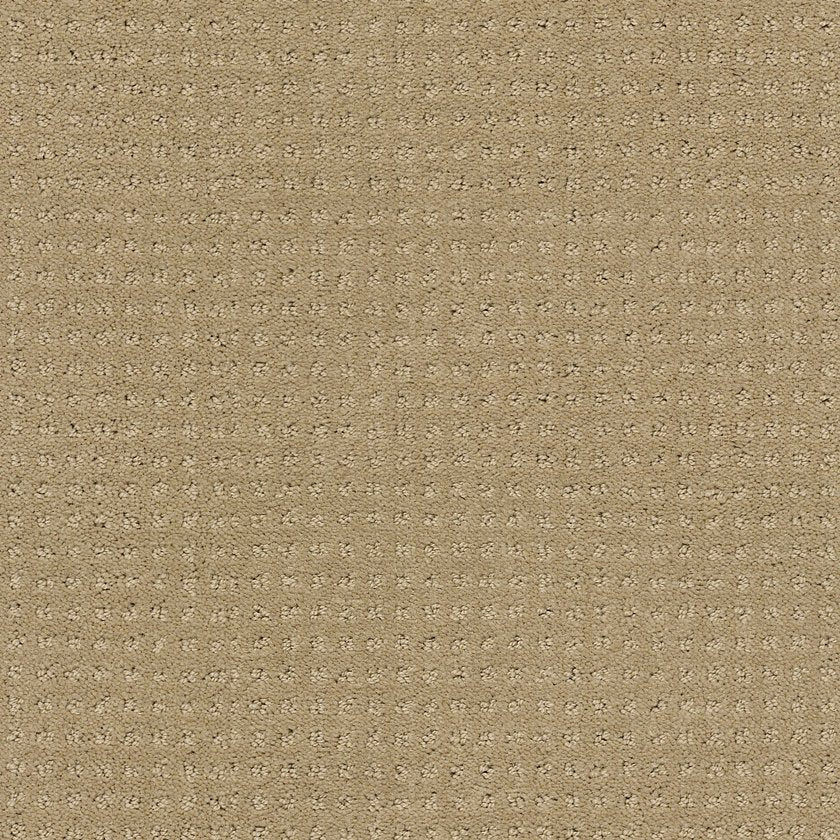 LOYAL BEAUTY PATTERN