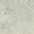 Transfiguration 5.0 C2125 - 18 in x 36 in LVT
