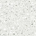 Terrazzo 2.5 C2126 - 18 in x 36 in LVT