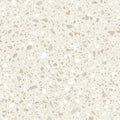 Terrazzo 2.5 C2126 - 18 in x 36 in LVT