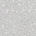 Terrazzo 2.5 C2126 - 18 in x 36 in LVT
