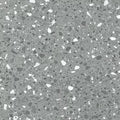 Terrazzo 2.5 C2126 - 18 in x 36 in LVT