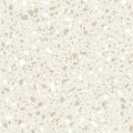 Terrazzo 5.0 C2127 - 18 in x 36 in LVT