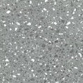 Terrazzo 5.0 C2127 - 18 in x 36 in LVT