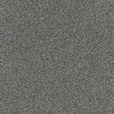 Faculty Renewal GT368 - 24 in x 24 in Carpet Tile