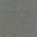 Faculty Renewal GL368 - 12 ft Broadloom