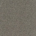 Faculty Renewal GL368 - 12 ft Broadloom