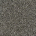 Faculty Renewal GL368 - 12 ft Broadloom
