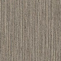 Color Balance II GT371 - 12 in x 36 in Carpet Tile