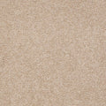 TIMELESS APPEAL III 12'