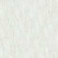 VISION 12X24 MATTE