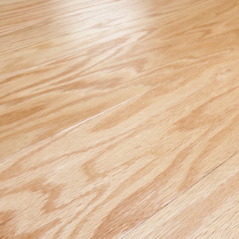 TIMELESS OAK 5"