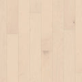 ECLECTIC MAPLE