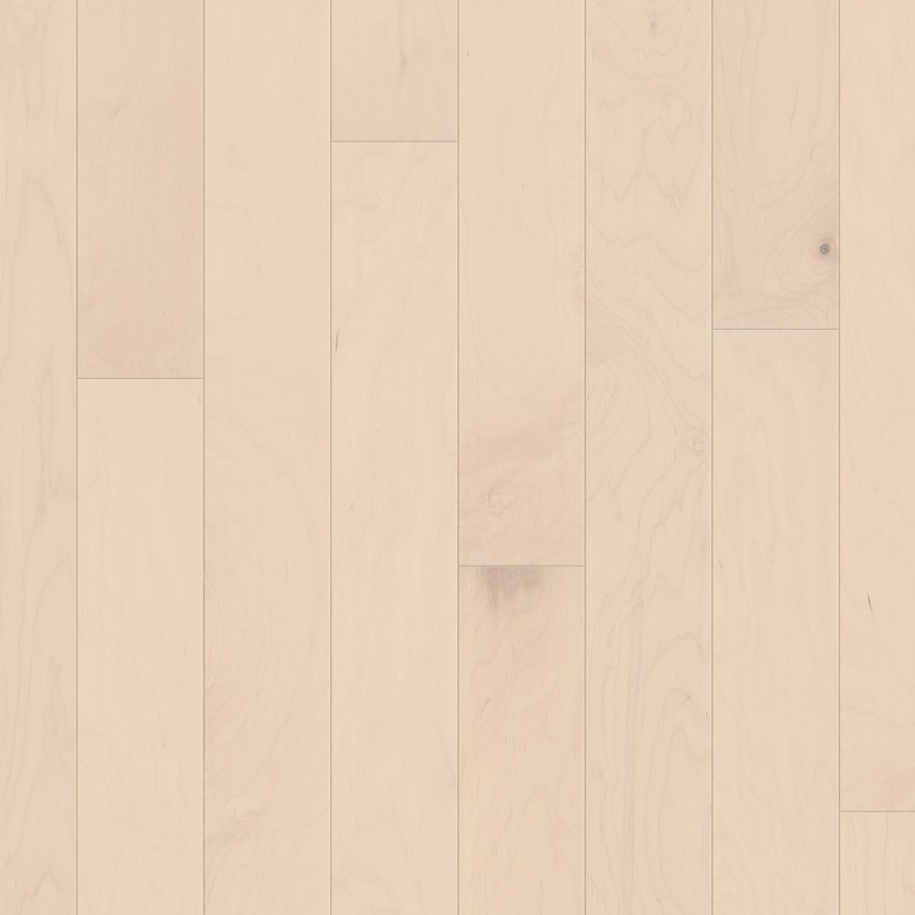 ECLECTIC MAPLE