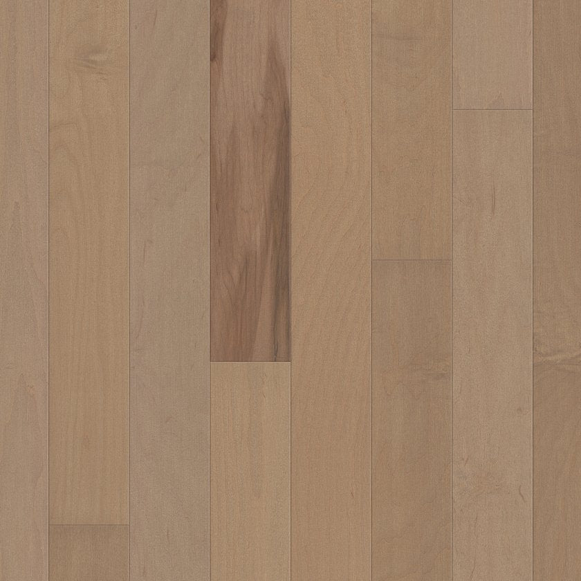 ECLECTIC MAPLE