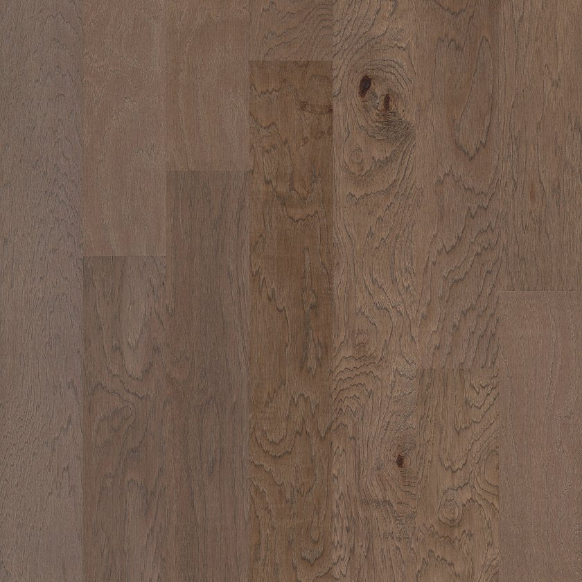 ALPINE HICKORY