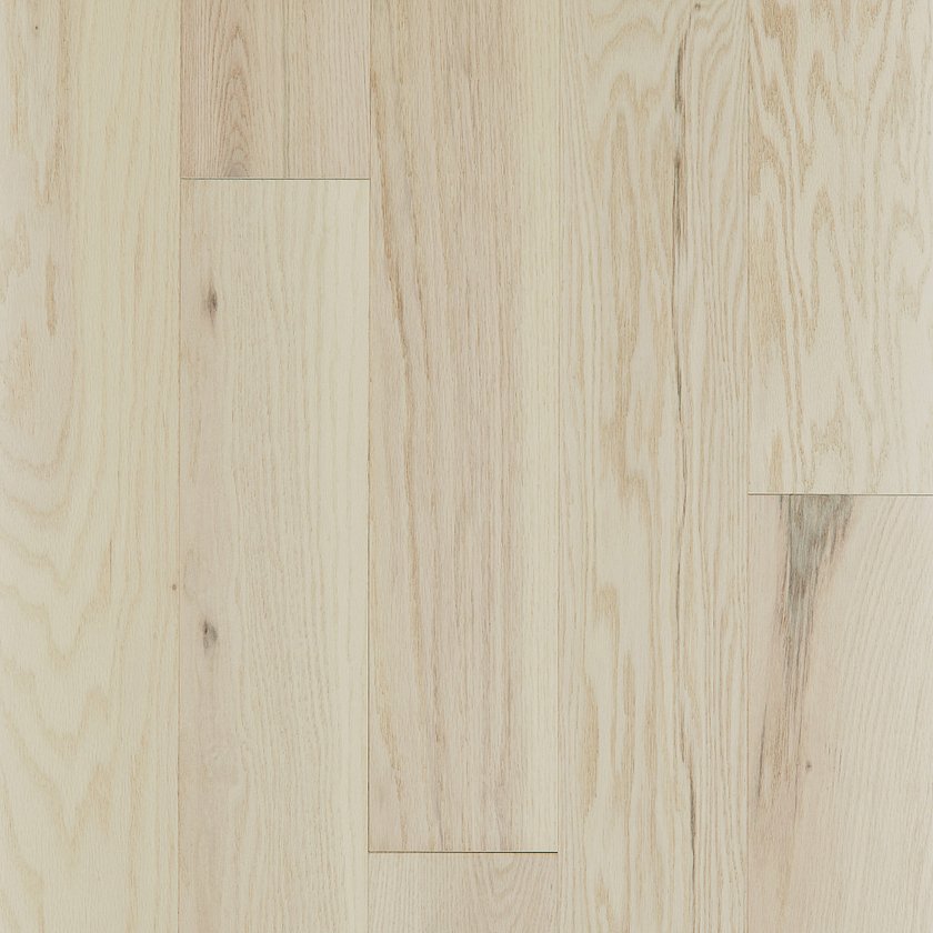 EXPLORATION OAK