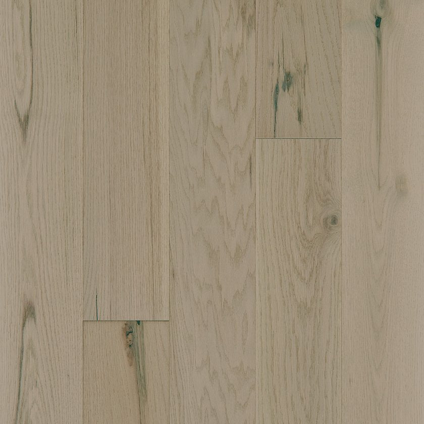 EXPLORATION OAK