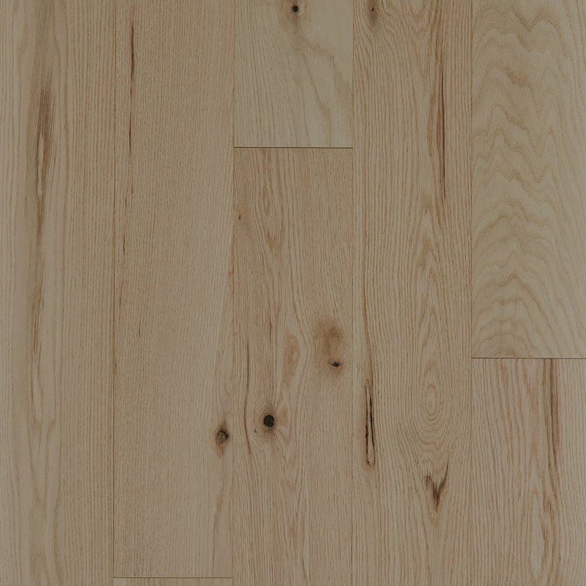 EXPLORATION OAK