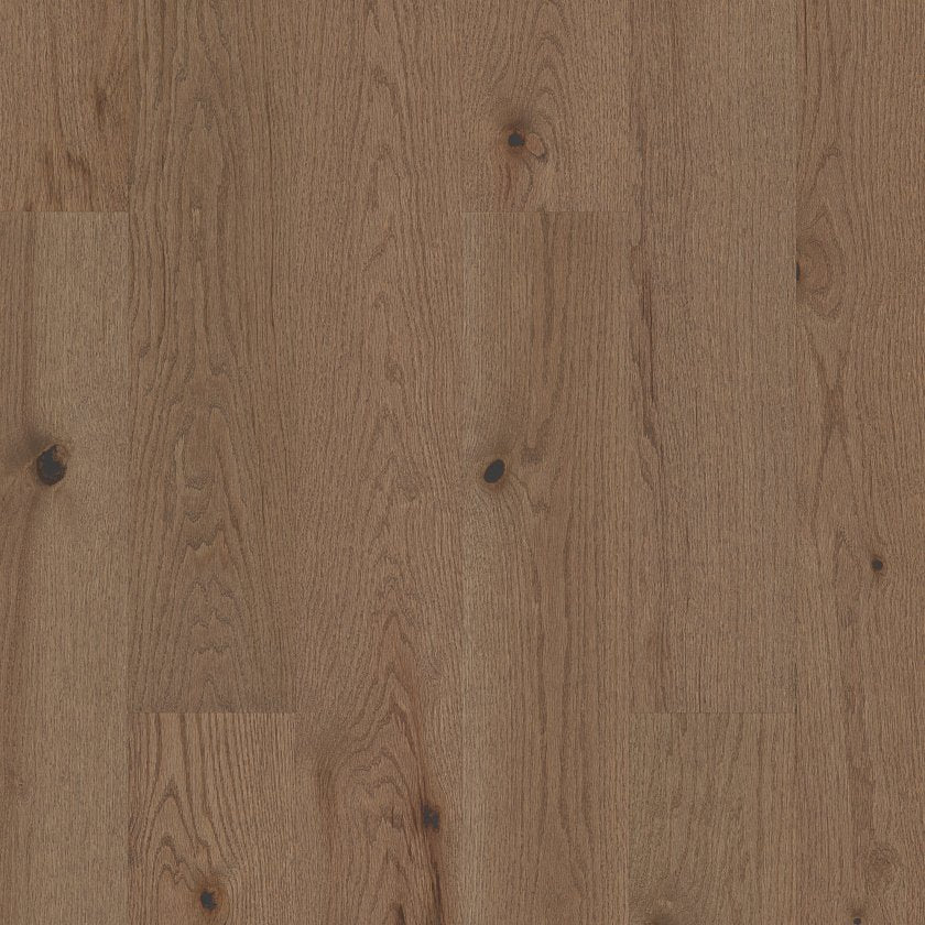 EXPLORATION OAK