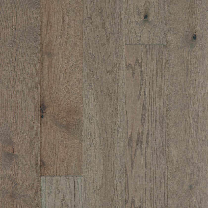 EXPLORATION OAK