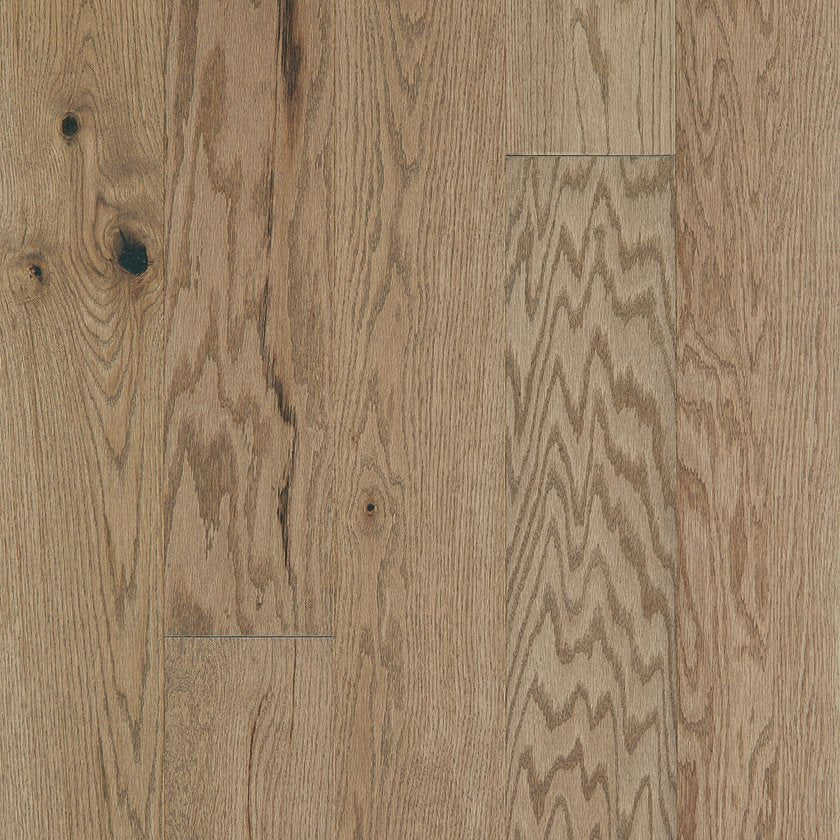 EXPLORATION OAK