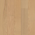 SANCTUARY OAK