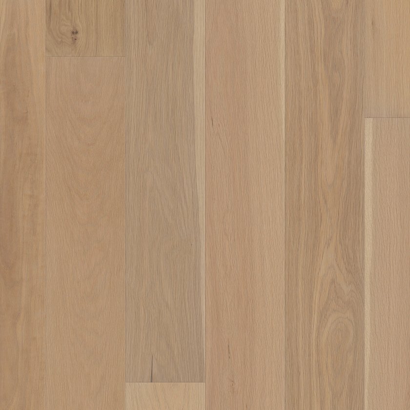 AMERICANA OAK