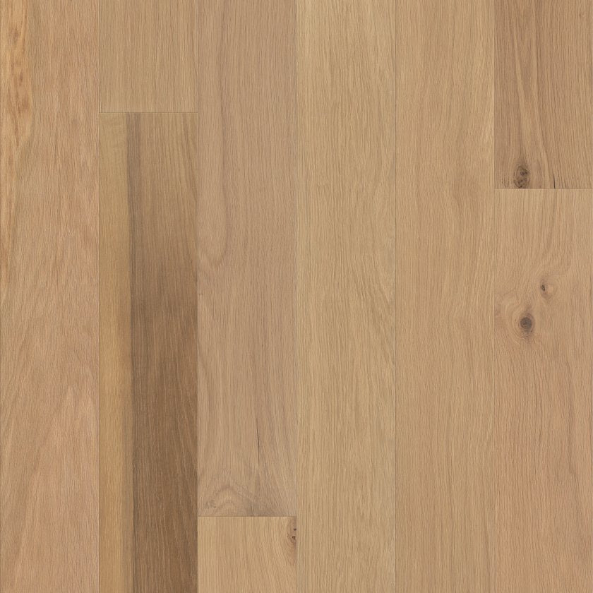 AMERICANA OAK