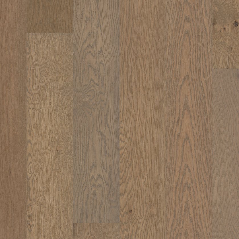AMERICANA OAK