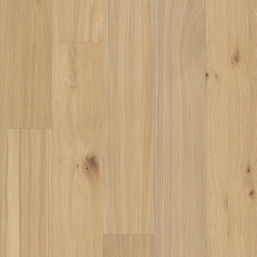 LIBERTY OAK