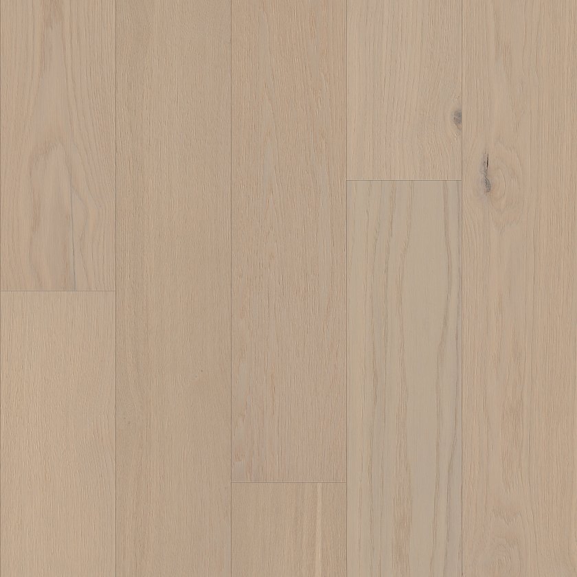 LIBERTY OAK