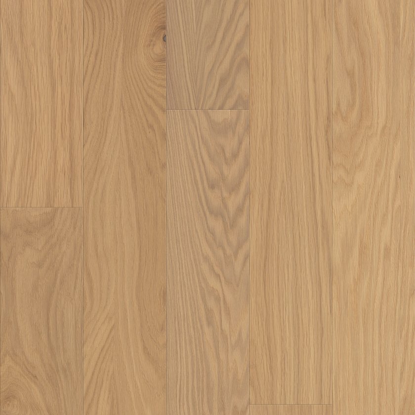 LIBERTY OAK