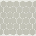 BAKER BLVD 2" HEX MATTE MOSAIC