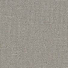 Joy Squared 12X48